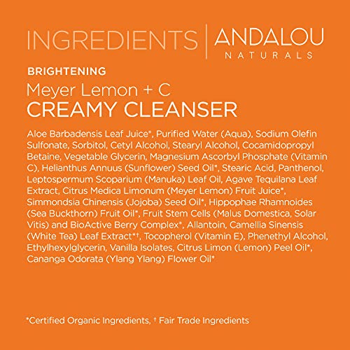 Andalou Naturals Brightening Meyer Lemon + C Creamy Cleanser, Face Wash for Uplifted Tone & Smoother Texture, Helps Renew Skin Vitality & Brighten Complexion, Cruelty Free, 6 Oz