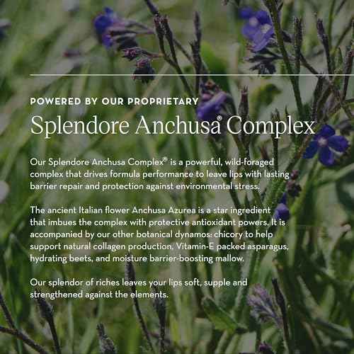 Olive Lip Butter Balm - 8ml | Hydrating & Plumping Lip Care with Organic Olive Oil & Natural Butters