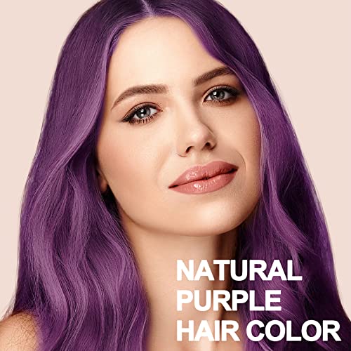 Purple Hair Dye Shampoo 3-in-1 for Color Treated Hair