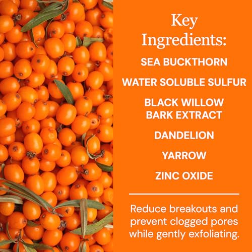 Sea Buckthorn Healing Lotion, 4oz ? Soothing Moisturizer with MSM, Black Willow Bark & Zinc Oxide ? Organic, Vegan ? Repairs Acne, Redness & Skin Irritation