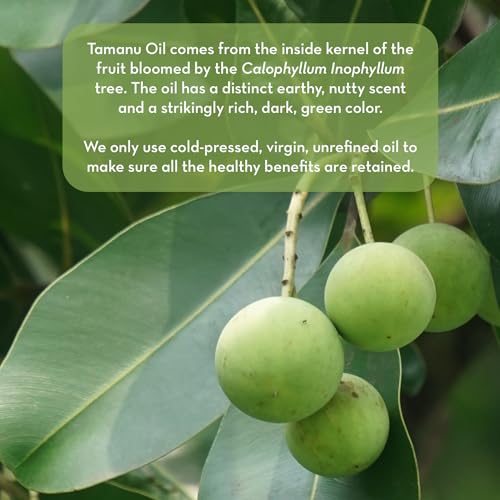 Pure Body Naturals Cold Pressed Tamanu Oil, 4 Fl Oz - Calms Irritated Skin - Moisturises Dry Scaly Skin