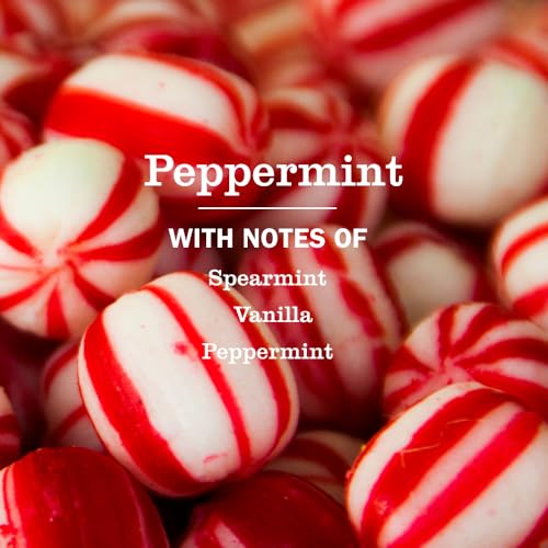 Mrs. Meyer's Peppermint Hand Soap, 12.5 Fl Oz