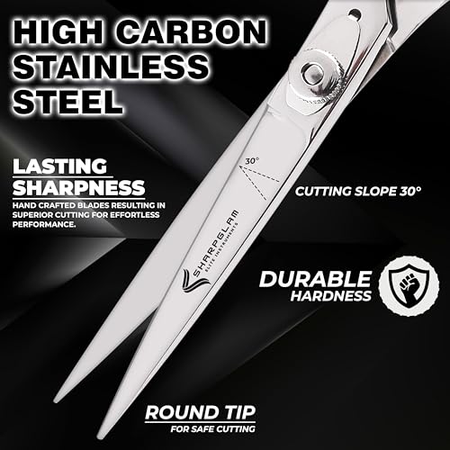 Professional 6.5 Hair Cutting Scissors - Japanese Stainless Steel Shears