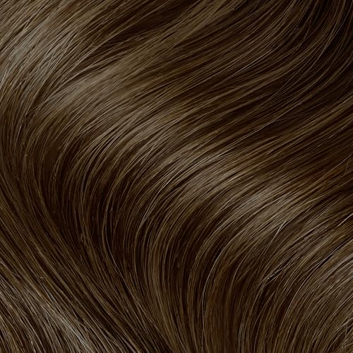 Clairol Professional Permanent Liquicolor, 6g Dark Gold Blonde, 2 oz. - Packaging May Vary