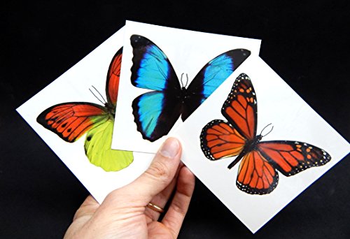 Large Butterfly Temporary Tattoos | 6 Sheets Water-Applied