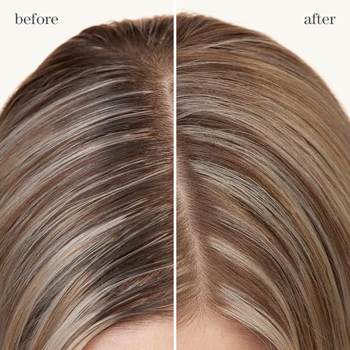 Pureology Refresh & Go Dry Shampoo for Oily, Color-Treated Hair