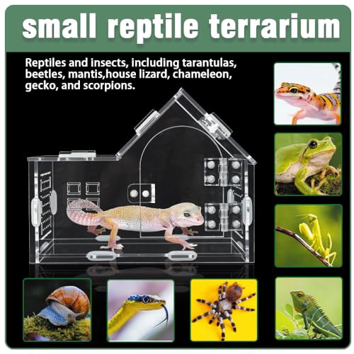 Acrylic Jumping Spider Enclosure House-Shaped Terrarium - Transparent, Breeding-Only Version