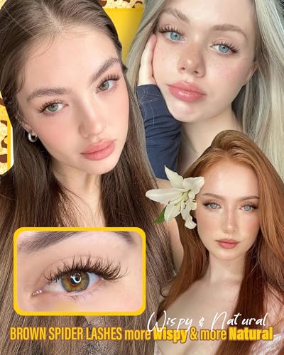 Brown Spider Lash Clusters CD-Curl 8-14MM Invisible Band