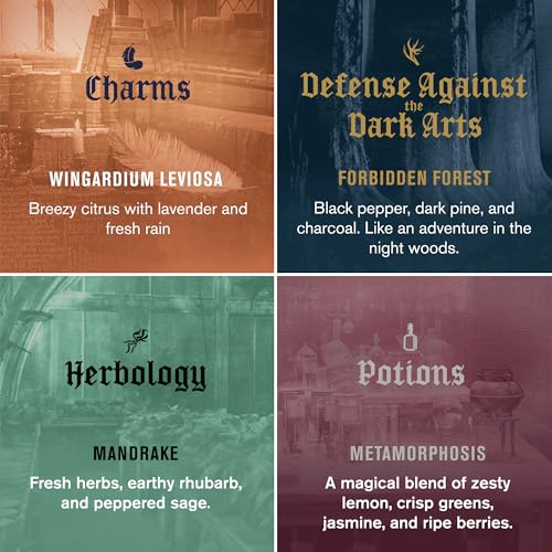 Every Man Jack Harry Potter Body Wash Gift Set for Men, 4-Pack