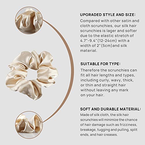 Forbidden Road 3 Pieces Large Mulberry Silk Scrunchies with Elastic Band for Hair, Women, and Girls (Beige, Ivory & Champagne)