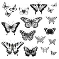 One Grace Small Butterfly Temporary Tattoos - Realistic Black and White Butterflies and Celtic Butterfly Long Lasting Tattoos for Men and Women