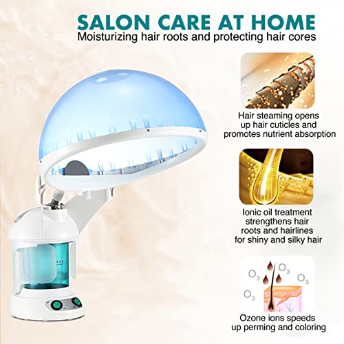 Denfany 2-in-1 Hair & Facial Steamer with 360° Arm