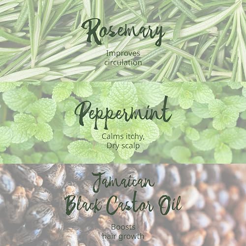 Rosemary Mint Leave-In Conditioner 8oz - Moisturizes & Detangles Hair