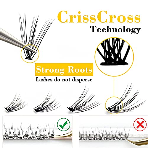 20D Cluster Lashes 240pcs Mix 9-14mm C Curl Extensions