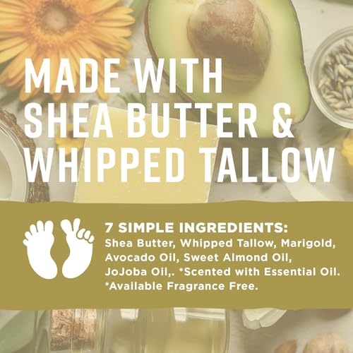 Pilotfish After Sun Body Butter Moisturizing Cream - Shea Butter & Whipped Tallow, Simple Ingredients, After Sun Lotion, Body Lotion, Coconut Oil, After Sun Care, After Sun Skin Care, 3.8oz