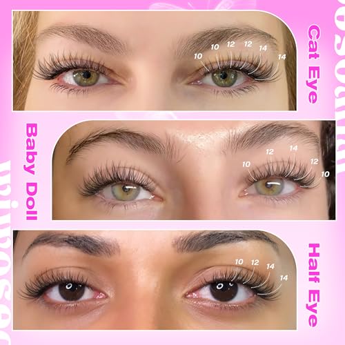 wiwoseo Natural Lash Clusters Wispy Eyelash Clusters Russian Lashes Clusters Lashes Natural Look Eyelashes Cluster Eyelash Extensions Individual Lashes for Beginners (10-14MM)