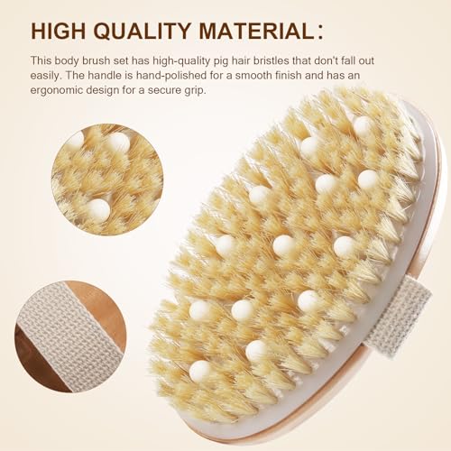 Dry Brush Set with 3 Detachable Heads & Natural Boar Bristles