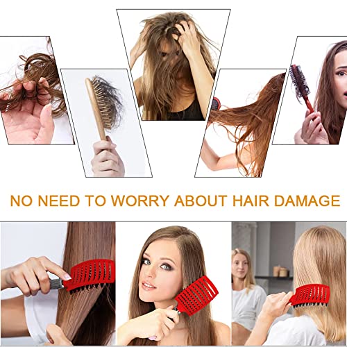 Hairstreaq Detangling Brush for Wet & Dry Hair, Vented Boar Bristle Hairbrush