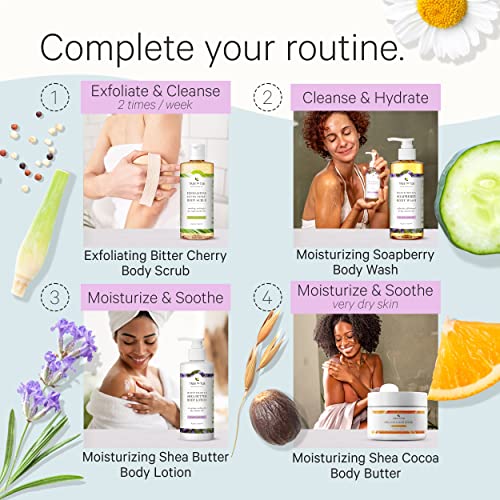 Tree To Tub Lavender Shea Butter Body Lotion for Dry Skin & Lavender Body Wash for Sensitive Skin and Dry Skin - Moisturizing Sensitive Skin Lotion & pH Balanced Moisturizing Body Wash for Women & Men