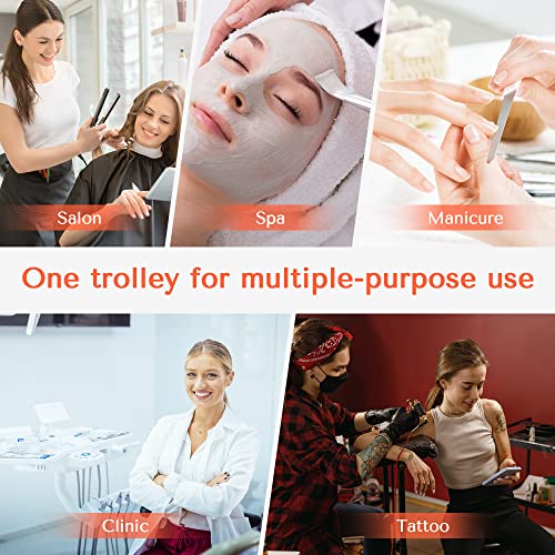 Professional Salon Trolley Cart with 6 Trays, Lockable & Mobile