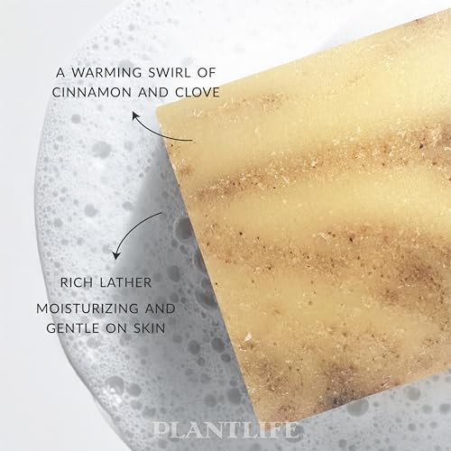Plantlife Cassia Clove Bar Soap - Moisturizing and Soothing Soap for Your Skin - Hand Crafted Using Plant-Based Ingredients - Made in California 4oz Bar