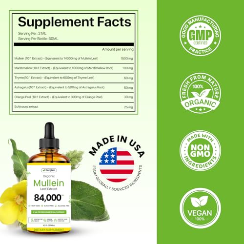 Gerglam Mullein Lung Detox Drops 2 Fl Oz USDA Organic Herbal Support for Respiratory Wellness