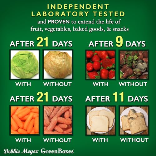 Debbie Meyer GreenBoxes BPA-Free Bread Storage Container for Kitchen Countertop