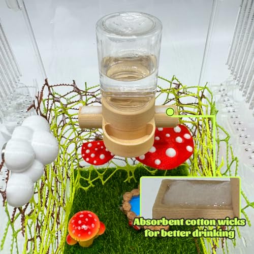 Magnetic Jumping Spider Water Dispenser & Feeder with Tweezers
