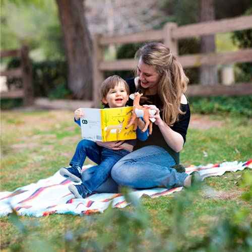 Joovy528 Ben The Sonoran Pronghorn Gift Set National Park Foundation Edition