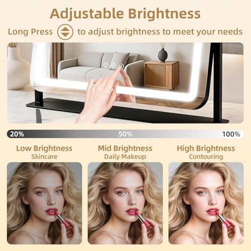 GioeDa Lighted Makeup Vanity Mirror 22x17 with 10X Magnification, Dimmable Color Lighting, Touch Control, 360° Rotation, Black