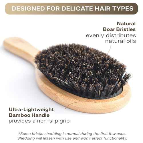 Boar Bristle Hair Brush for Women and Men, Natural 100% Soft Boars Hairbrush for Fine and Thin Hair