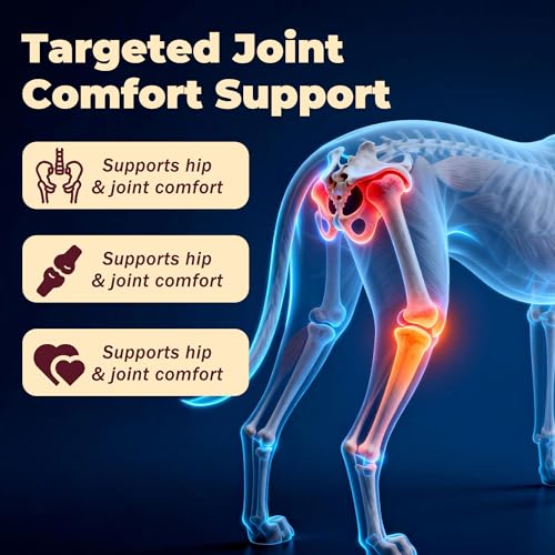 Dog Arthritis Pain Relief Oral Suspension - Joint Support 1.08oz