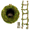 Jumping Spider Hideout & Rope Bridge Decor Set