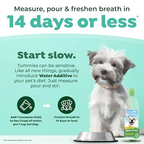 TropiClean Fresh Breath for Dogs | Dog Breath Water Additive | Dental Care | Dog Breath Freshener | Simple Pet Teeth Cleaning | Made in USA | 16 oz