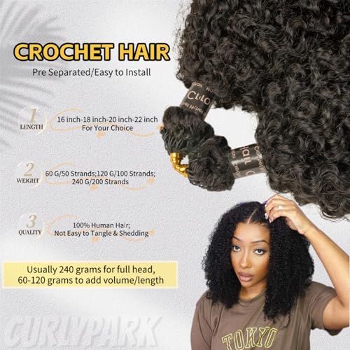 Afro Kinky Curly Crochet Hair Extensions 100% Human Hair 18 Inch