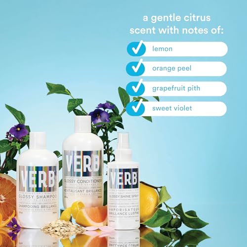 VERB Glossy Conditioner for Thick to Coarse Hair - Vegan & Sulfate-Free