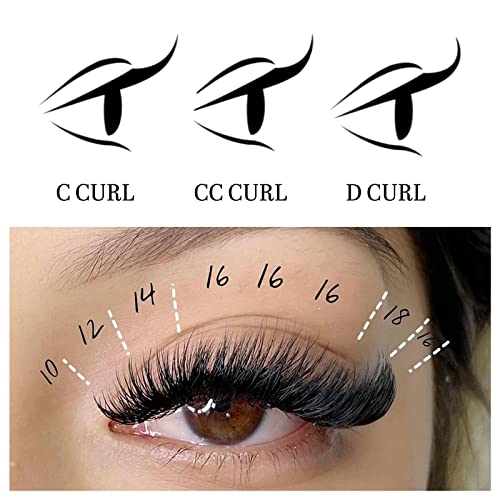 Volume Lash Extensions 0.05 D Curl 8-16mm Mixed Length Tray