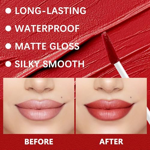 QueenDiary Lip Gloss and Liner Makeup Set, Lifter Gloss and Lifter Liner in Petal and Line Leader Shades (Confident and capable)