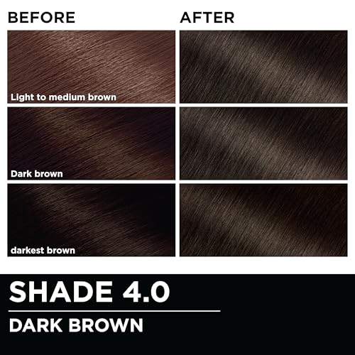 Garnier Olia Ammonia-Free Hair Color, Dark Brown 4.0 - 2 Count