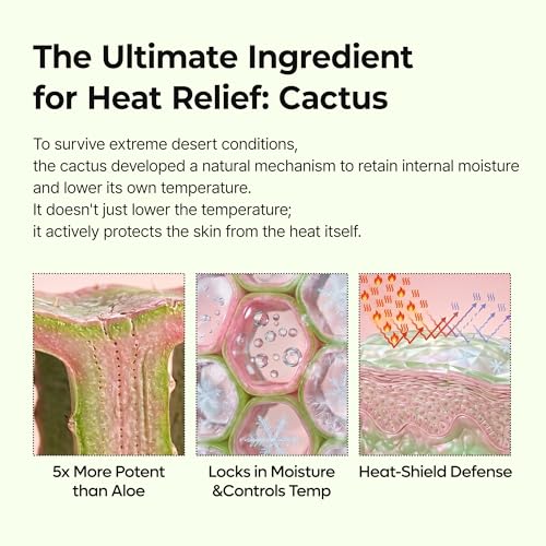 Dr.Melaxin Cactox Pore Relief Multi Balm Stick – Cooling & De-Puffing