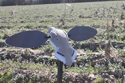 MOJO Outdoors Elite Series Dove Decoy – Ultra Realistic Motion Spinning Wing Decoy With Magnetically Attached Wings And Drop-In Battery Pack - Dove Hunting Gear and Accessories