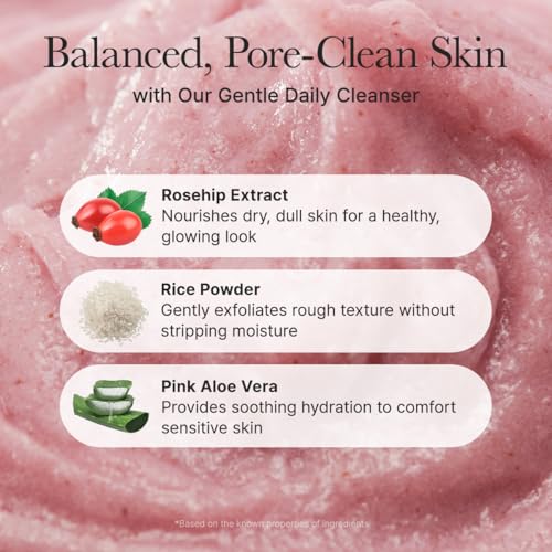 Arencia Rosehip Rice Mochi Brightening Face Cleanser & Scrub
