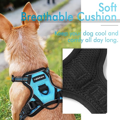 rabbitgoo Dog Harness, No-Pull Pet Harness with 2 Leash Clips, Adjustable Soft Padded Dog Vest, Reflective No-Choke Pet Oxford Vest with Easy Control Handle for Small Dogs, Blue, XS