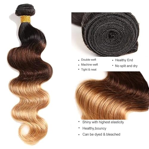 Hailookmey 10 Inch Ombre Brown Blonde Body Wave Human Hair Bundles 100g