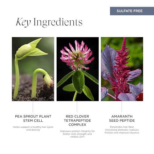 Intelligent Nutrients Pure Plenty Shampoo, Clarifies and Fortifies Fine, Thinning Hair, Organic Scalp-Stimulating Formula, Vegan, 8.5 Oz