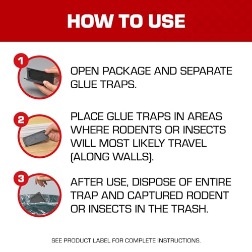 Tomcat Glue Traps Mouse Size with Eugenol for Enhanced Stickiness, Contains 6 Mouse Size Glue Traps - Captures Mice and Other Household Pests - Professional Strength, Pesticide-Free and Ready-to-Use