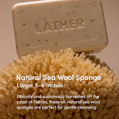 LATHER - Natrual Sea Wool Sponge 5"-6" + Foot Scrub with Pumice Stone 4oz