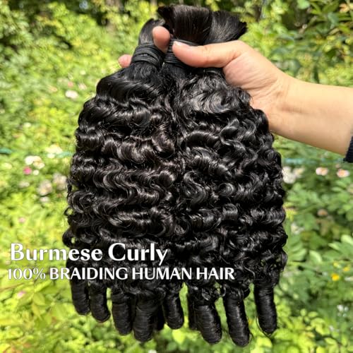 MsSunlight 16 Inch Burmese Curly Human Hair Extensions 15A Boho Braiding 100g Bundle