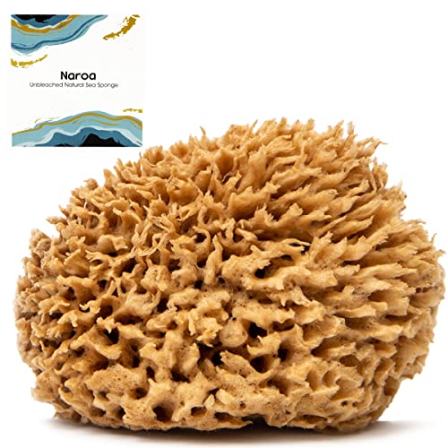 Naroa Soft Natural Sponge | Gentle Sea Sponge for Bathing Healthy Skin | Unbleached Shower Body Scrubber Puff | Eco Friendly Bath Spa Sponge (Soft - Medium)