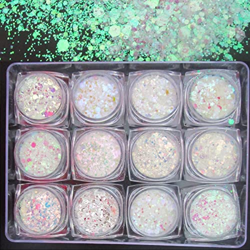 LoveOurHome 24 Box Iridescent Aurora Glitters Powder Pigment Nail Decorations Hexagon Chunky Flakes Sequins Accessories for Resin Epoxy Crafts Festival Makeup Body Acrylic Nails Design